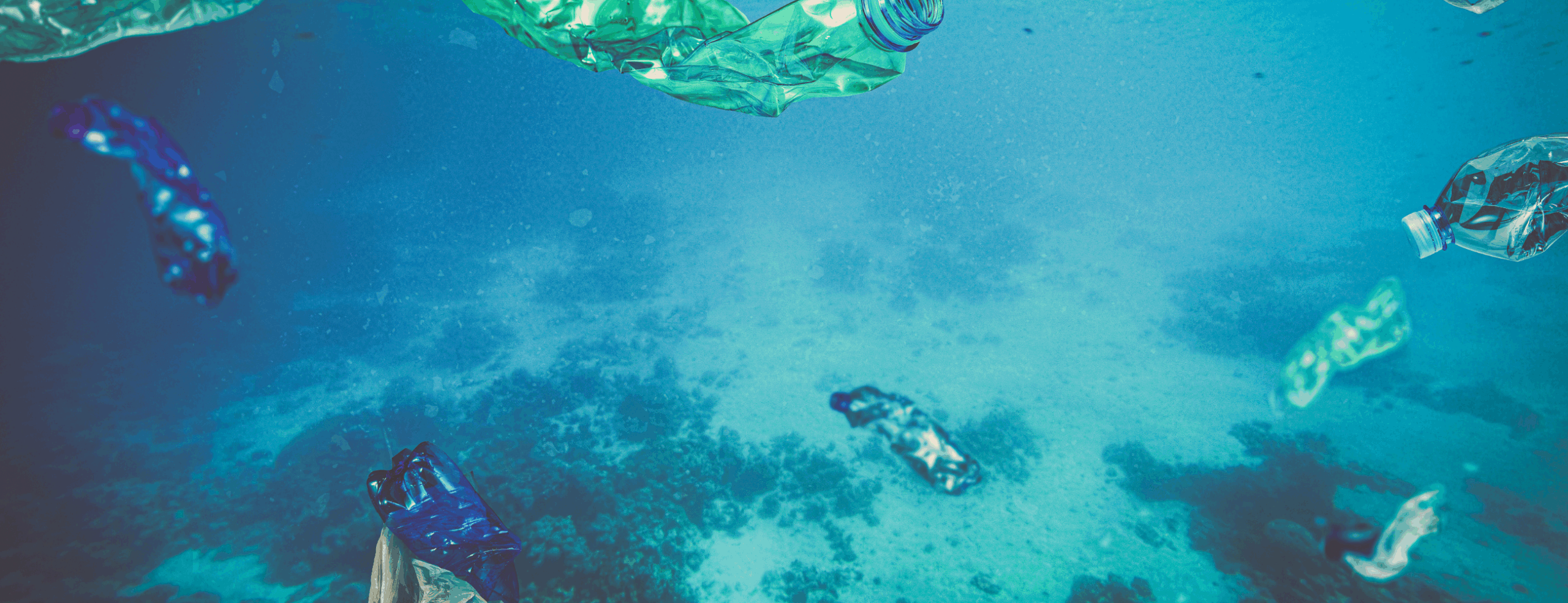 Proper Disposal of Waste in a Ship: Regulations, sludge oil management, and emission control