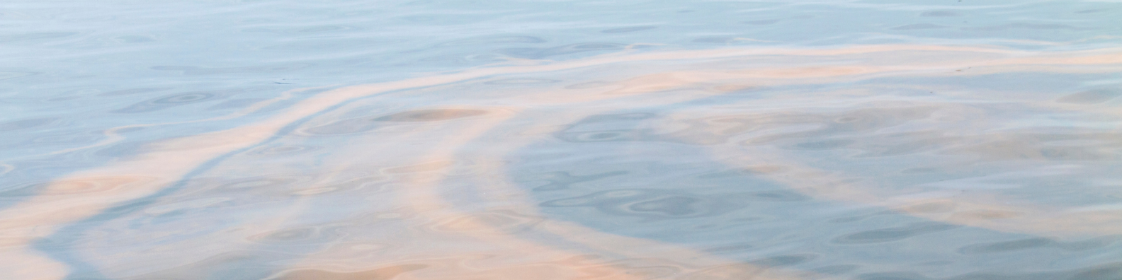 Oil Sludge Disposal Solutions