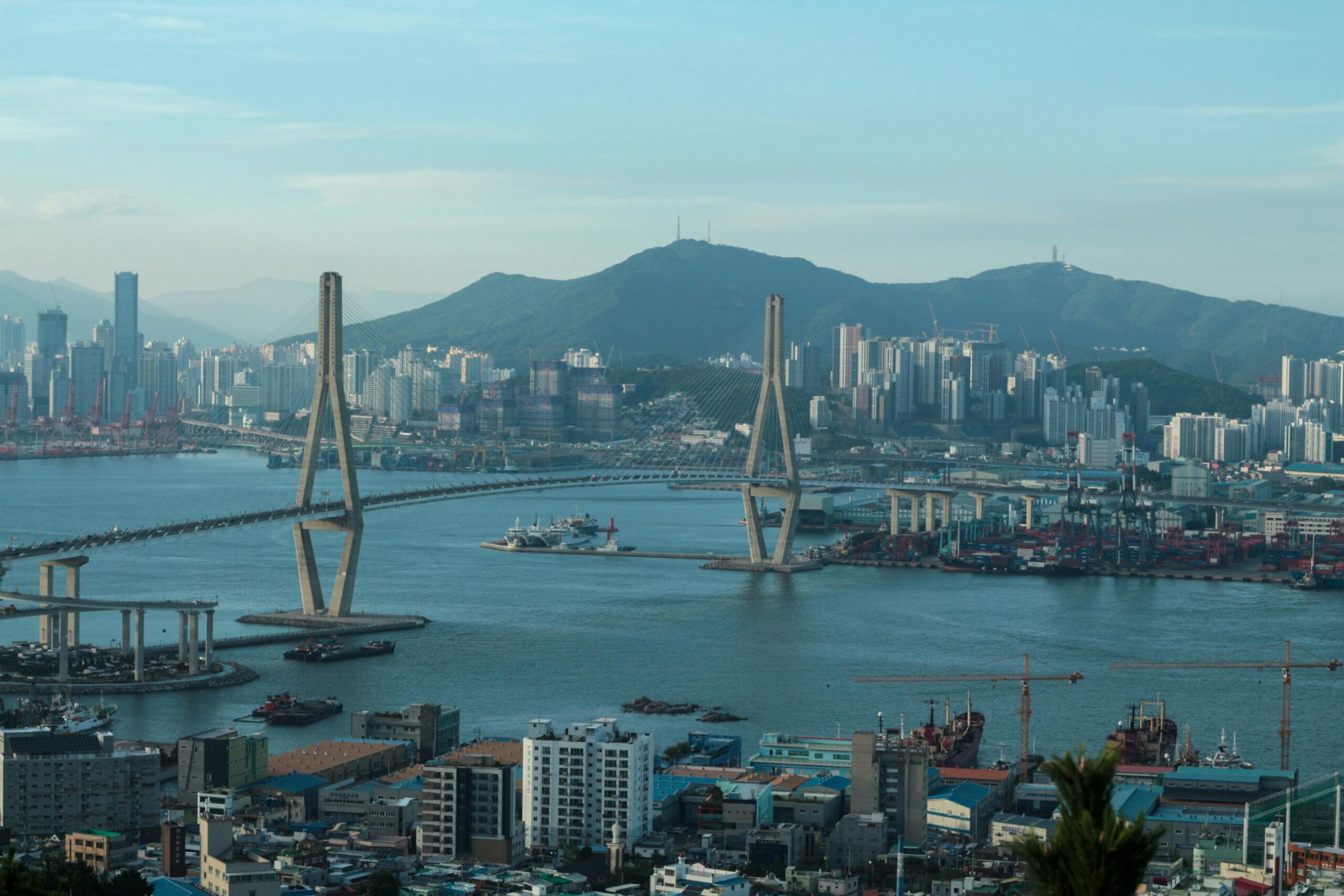 Korea: Where Highly Specialised Yards Take Highly Specialised Partners 